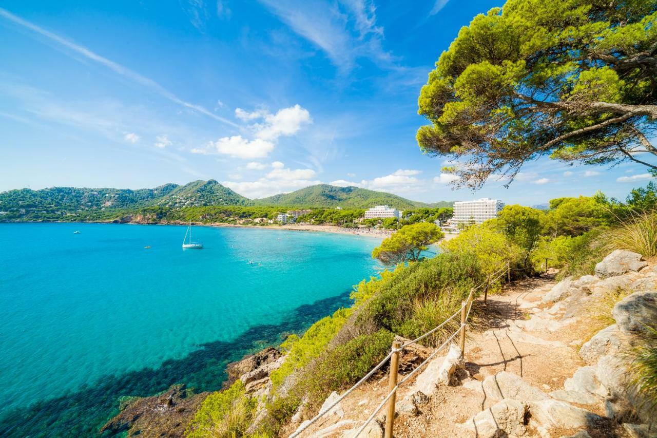 Sa Torre By Sureda Mas Apartment Canyamel (Mallorca)